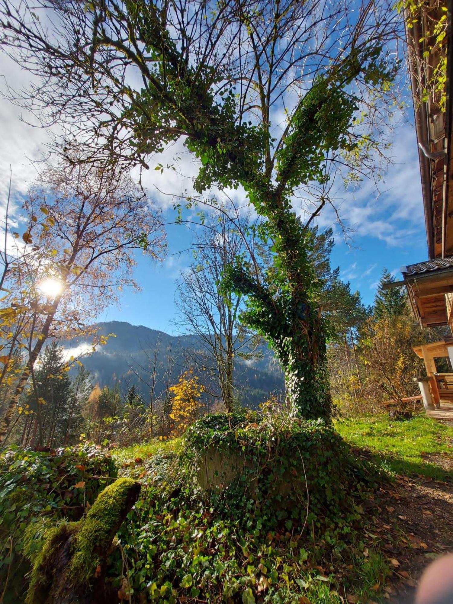 Naturetouch Steinberg am Rofan Exterior photo